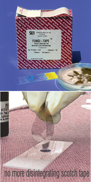 FUNGI TAPE