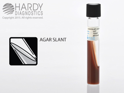 CHOCOATE AGAR SLANTS