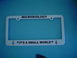 SMALL WORLD LICENSE PLATE